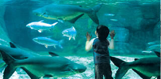 世界淡水魚園水族館「アクア・トト　ぎふ」