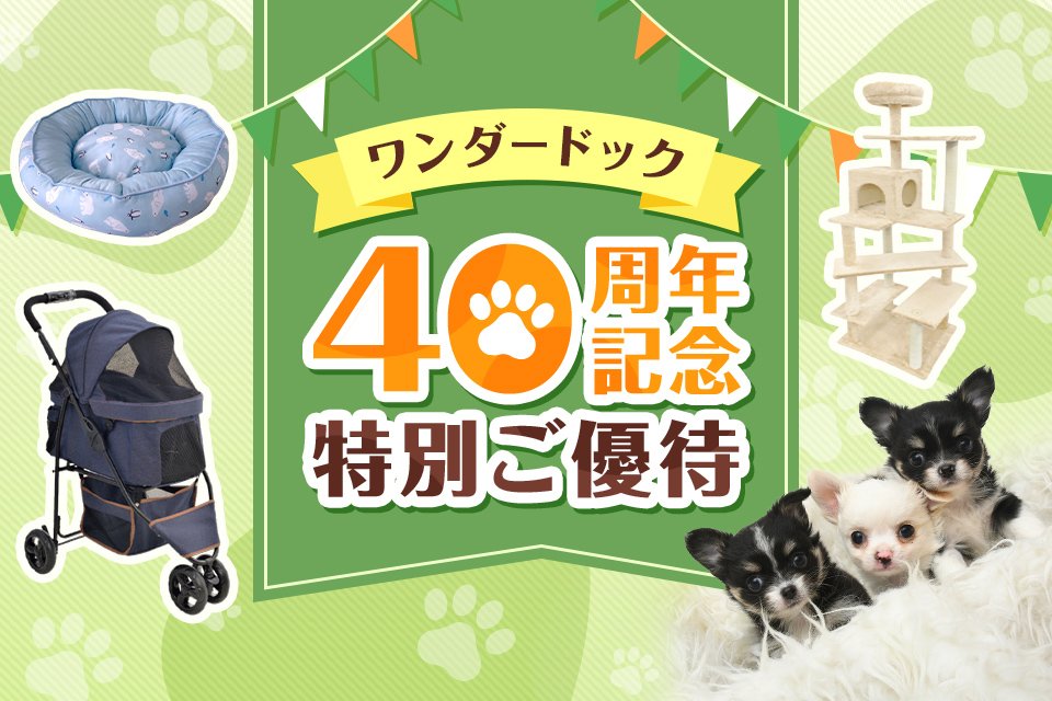 ワンダードック40周年記念特別ご優待