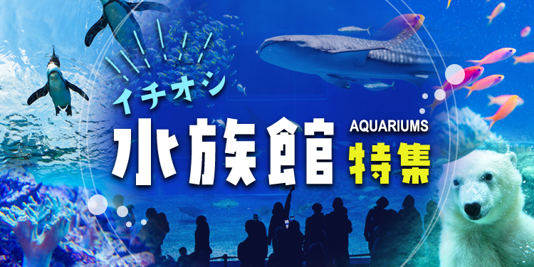 イチオシ水族館特集