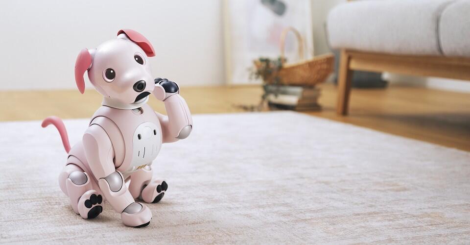 「テクノロジーが心をつなぐ新時代! aibo(アイボ)と暮らそう」(2022年2月25日掲載)