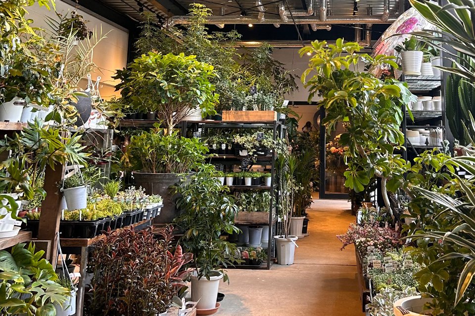 Flower Space Gravel 札幌本店