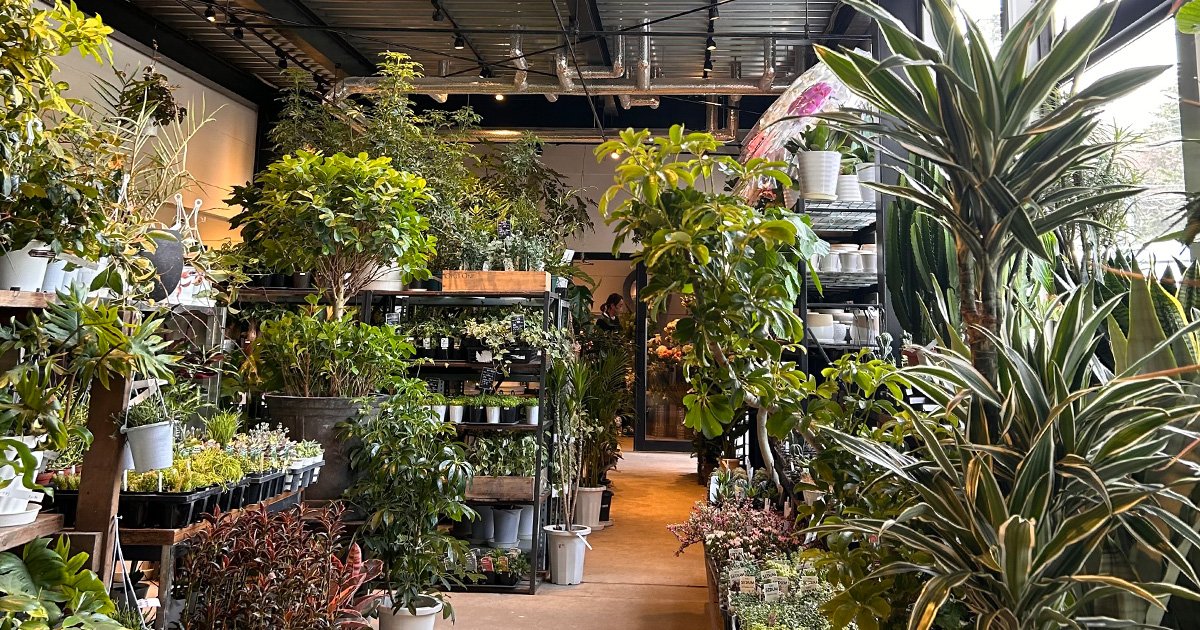 Flower Space Gravel 札幌本店 | クレジットカードのJFRカード