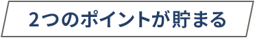 2つのポイントが貯まる