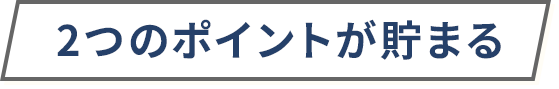 2つのポイントが貯まる