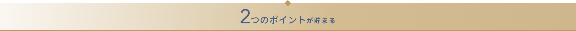 2つのポイントが貯まる