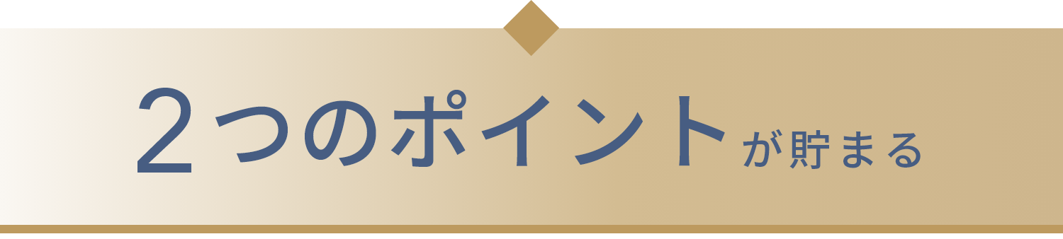 2つのポイントが貯まる