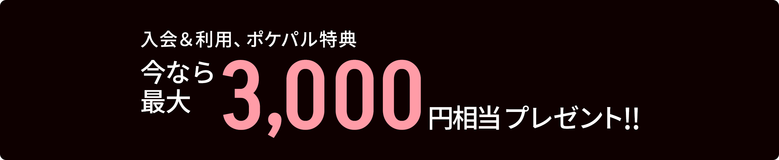 入会&利用、ポケパル特典今なら最大 3,000円相当プレゼント!!※2026年2月28日（土）までのお申込みで2026年3月31日（火）までにカード発行された方が対象。