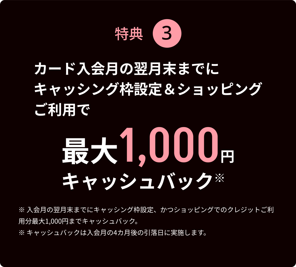 特典3 入会月の翌月末までにキャッシング枠設定＆ショッピングのご利用で最大1,000円キャッシュバック